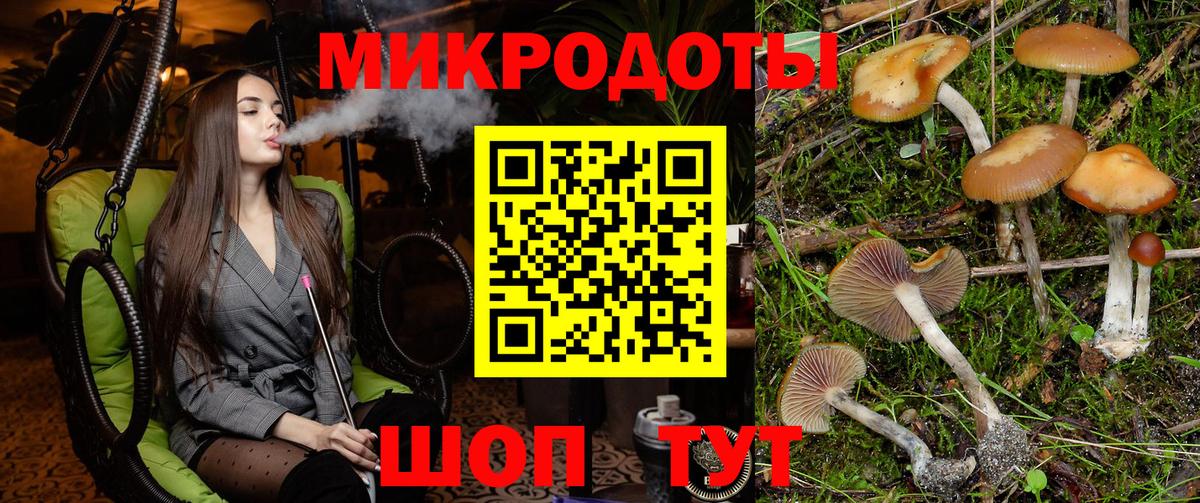 Галлюциногенные грибы прущие грибы Кемерово