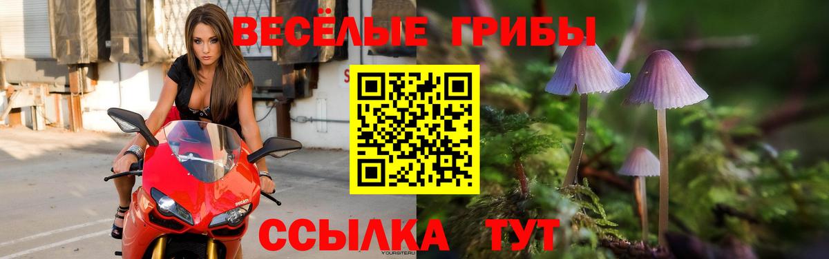 Кемерово  Галлюциногенные грибы Psilocybine cubensis  Вход с VPN  Галлюциногенные грибы MAGIC MUSHROOMS 